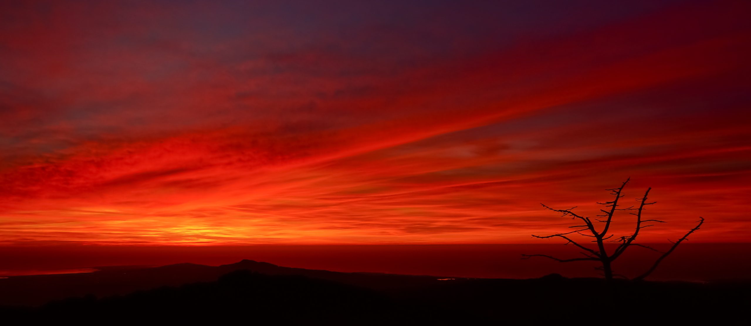 20 viviendas en Moralzarzal